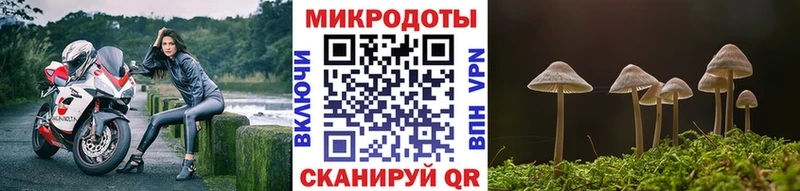 ОМГ ОМГ   Заринск  Псилоцибиновые грибы Psilocybine cubensis 