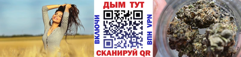 Бошки Шишки гибрид  MEGA онион  Заринск  продажа наркотиков 